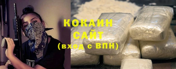 прущий лед Новозыбков