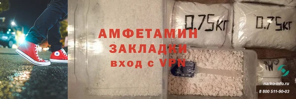 гидра Новодвинск