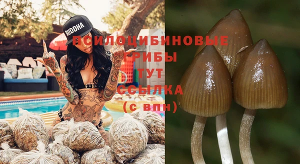 дурь Грязи