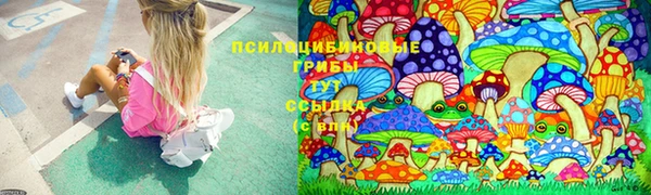 дурь Грязи