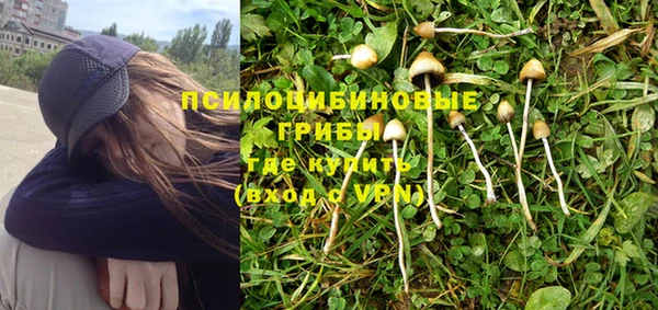мескалин Губаха