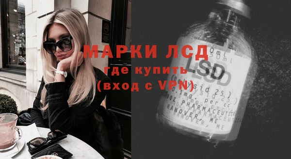 гидра Новодвинск