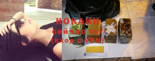 прущий лед Новозыбков