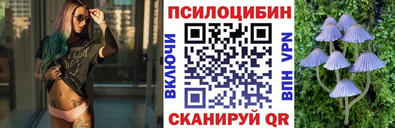 hydra зеркало  Осташков  Псилоцибиновые грибы Psilocybe  сколько стоит 